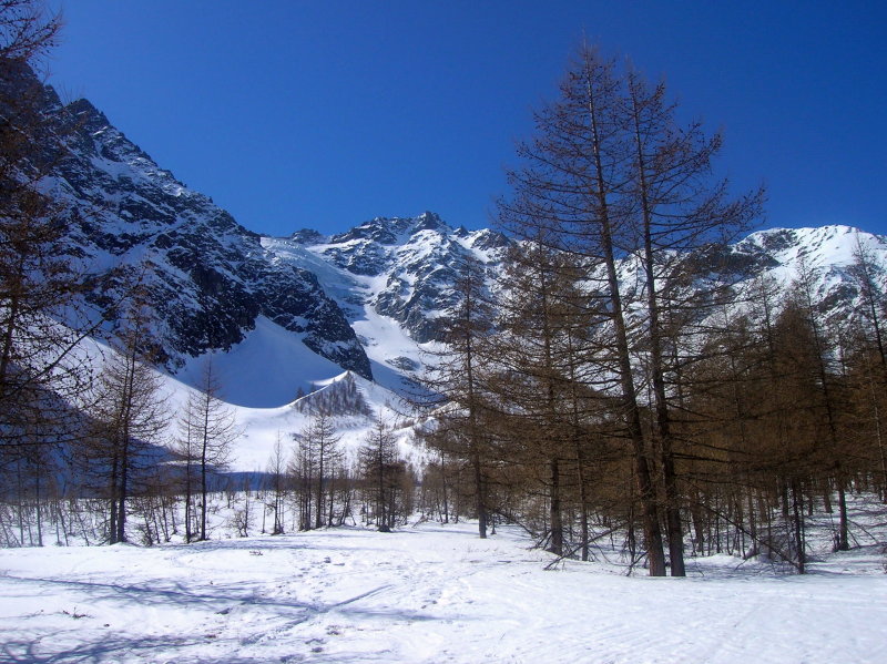 meleze : Dans le bas : descente dans la forêt de meleze
