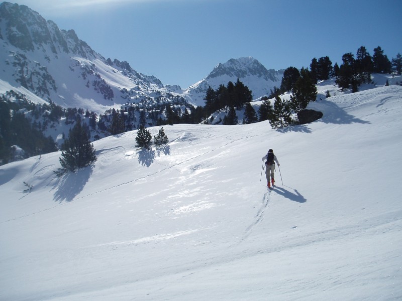 Après le refuge de Colomers : Au milieu des sapins
