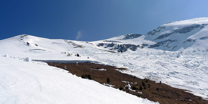Face W : Ravagée par des avalanches de fond