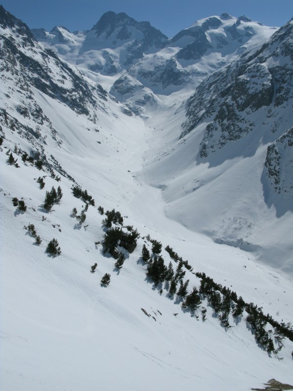 Bans : Avec les arbres, c'est joli aussi