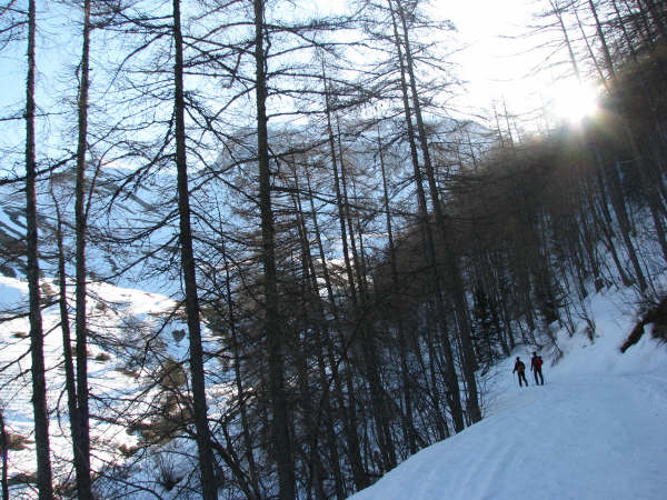 Montée : Avec Stéphane dans la montée, vivement le soleil car ça caille, on devine Roche Close à travers les arbres