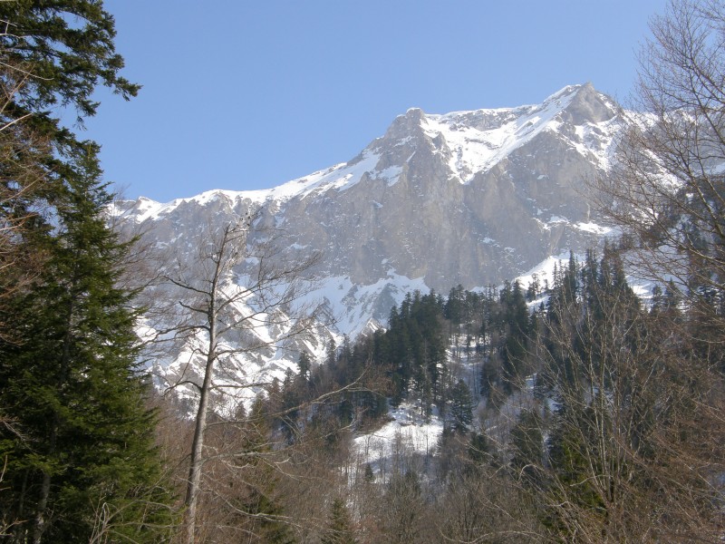Les Aiguilles de La Rama : Magnifique vallon du Freyrard dominé par de beaux sommets appréciés sous un angle totalement différent de celui du plateau du Dévoluy.
