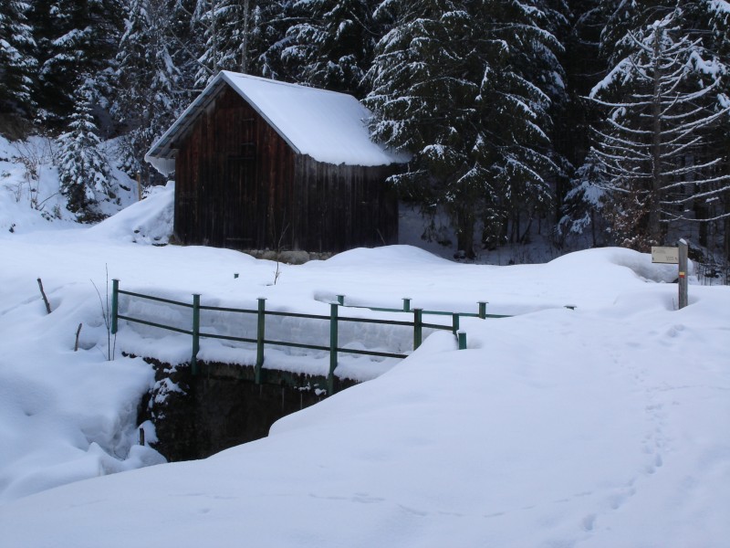 le pont avant la foret : une bonne neige toute fraiche