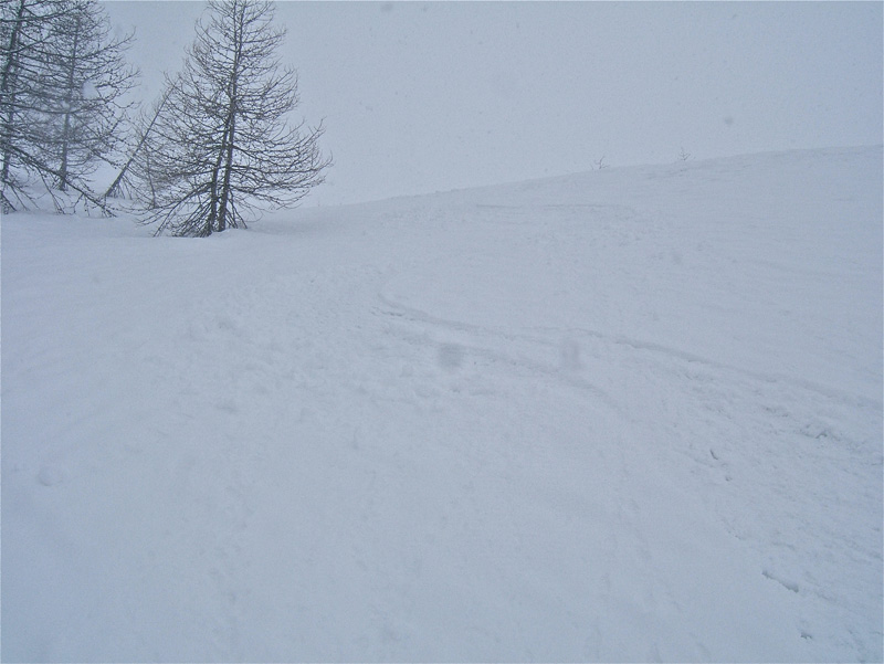 Escuzier : Nos traces dans de la bonne poudre et dans le brouillard.