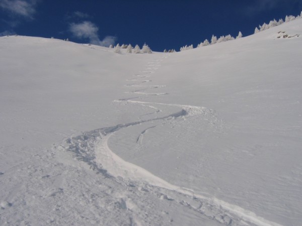 Traces de Manouel : Que du bonheur !