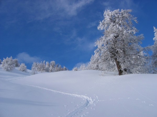 Crête de la Brèche : En sortant de la forêt, on rejoint la crête de la Brèche