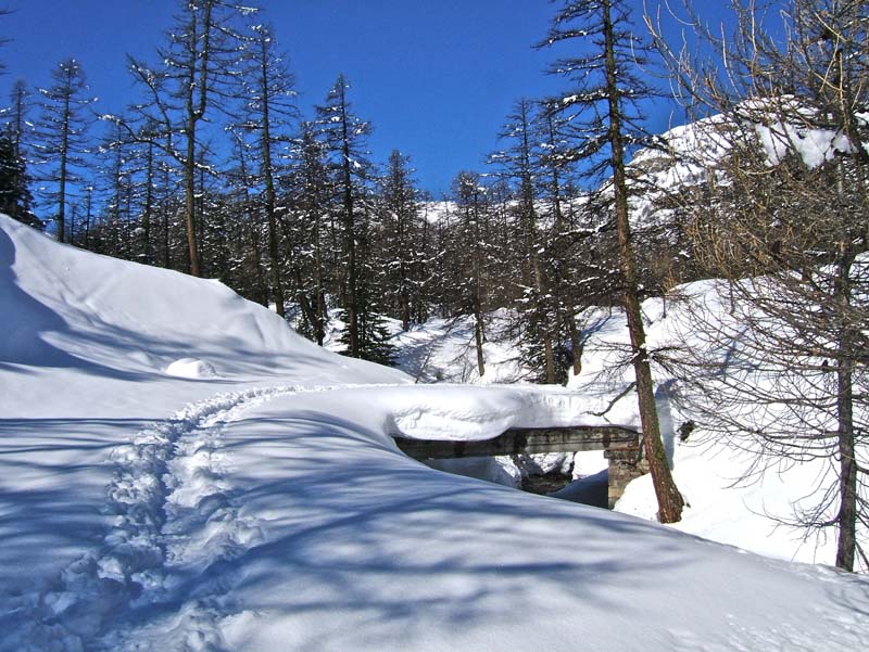 Tête Ronde de l'Escuzier : On ne voit plus le Porche du panneau du Parc Mercantour qu'on devinait encore samedi.