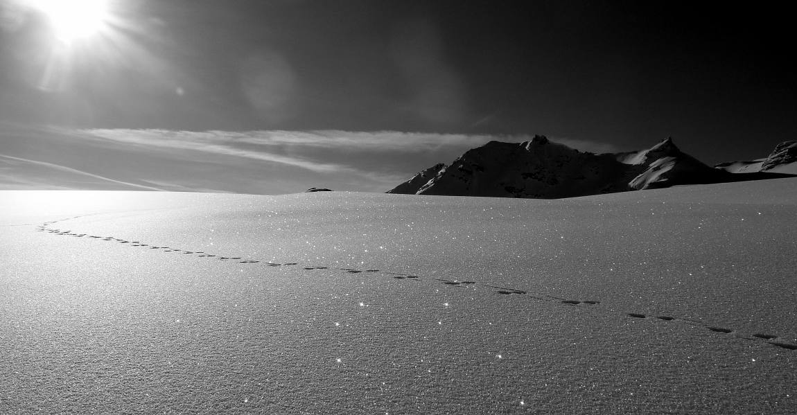 des paillettes dans la neige : sur le glacier des Barmes de l'Ours