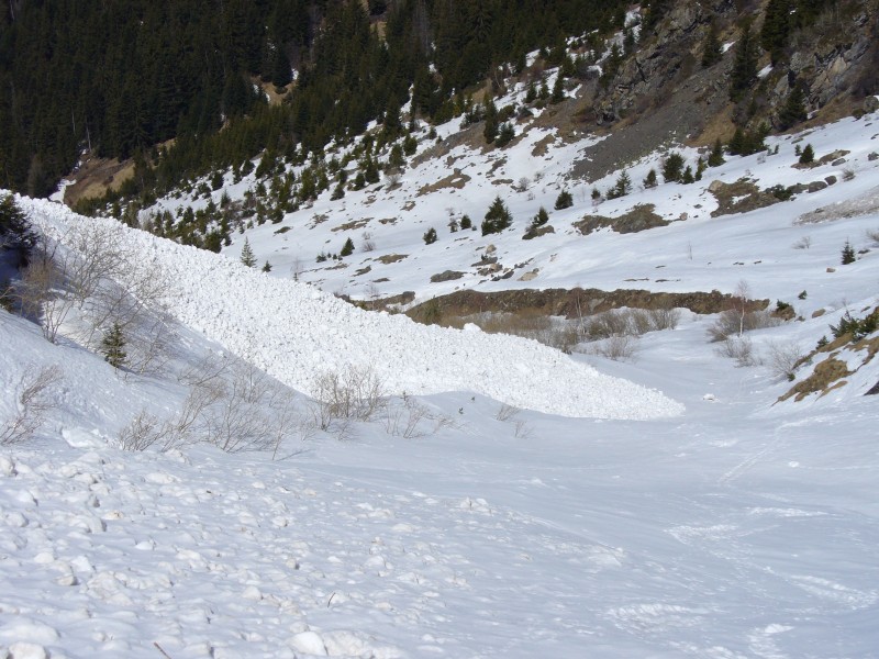 Défilé de la Malsanne : Ce défilé de la Malsanne est criblé de coulées d'avalanches...