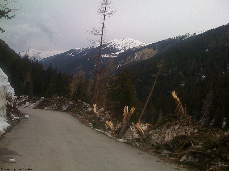 Avalanches : Les avalanches ont cassé des arbres de gros diamètre ce qui prouve le caractère exceptionnel de cette saison