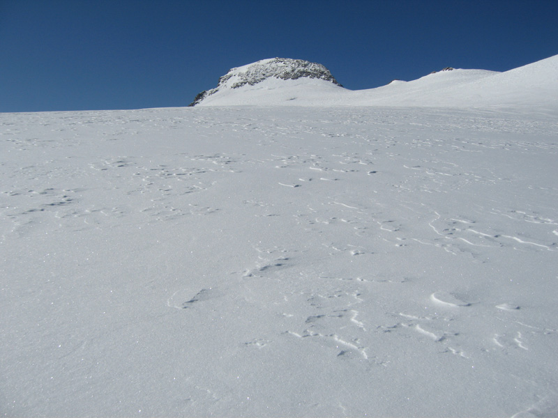 Plateau sommital : P... c'est encore loin