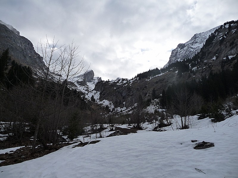 combe de la blonnière : le bas de la combe de la blonnière : et ouais y'a pas beucoup de neige ,bon ben on va passer à droite