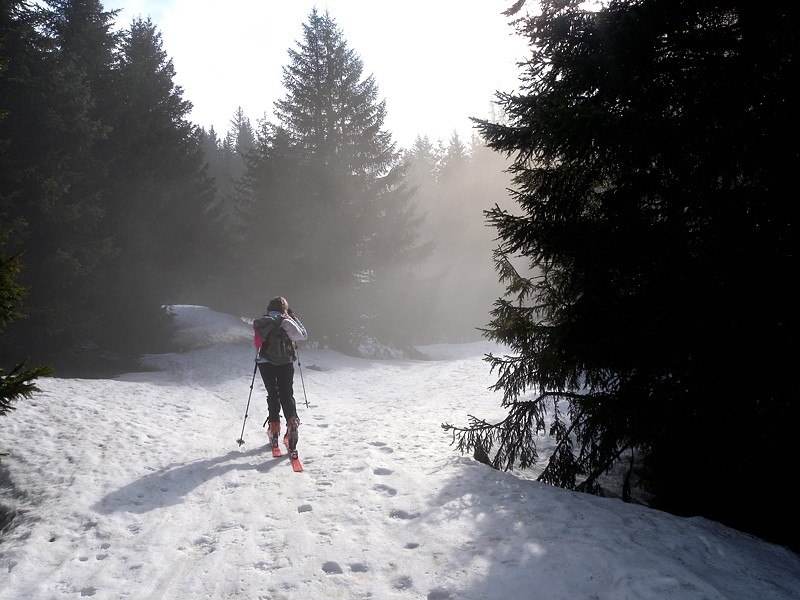 En forêt : Aperçu de l'enneigement somme toute correct vu les T° de ce mois d'avril.