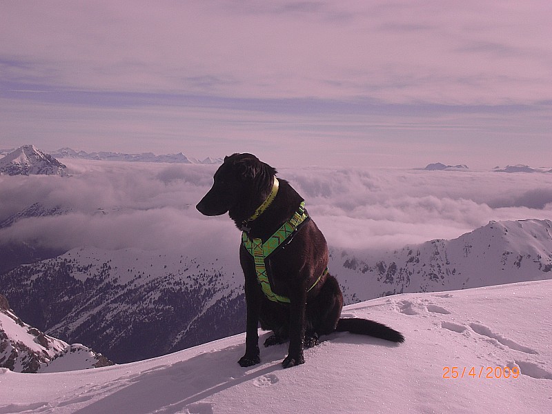nuages : Mer de nuages qui débordent de l'Italie.
Le Chaberton sort à gauche.