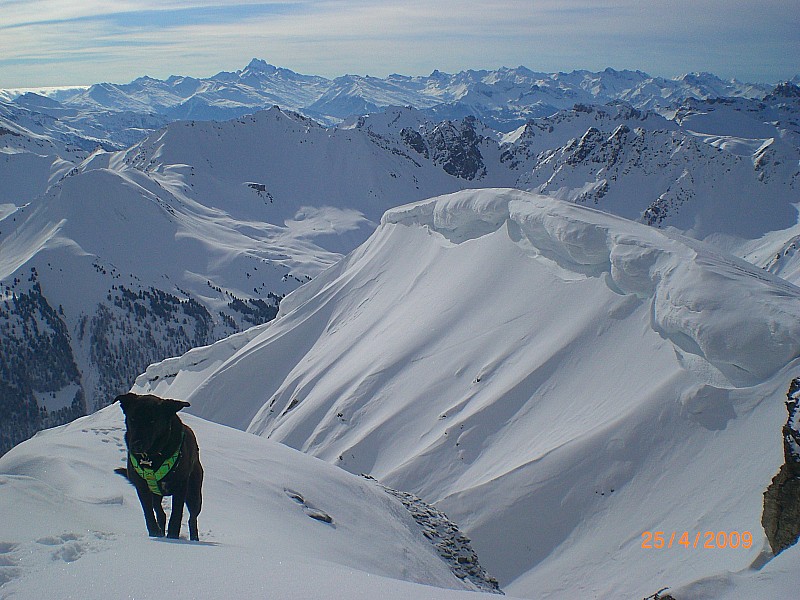 le sommet : kiki vient de faire son repérage.