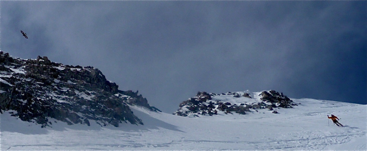 Skieur et Rapace : rencontre à 3600