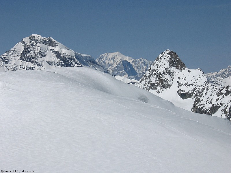 Combins et Mont Blanc : Grand combin Mont Blanc et Grandes Jorasses