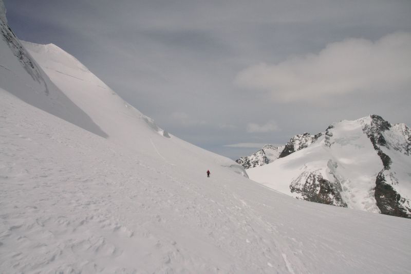 Terrasses de Bellavista : et Piz Bernina en fond