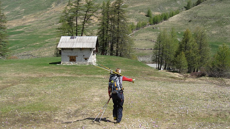 Fleurette : se promène