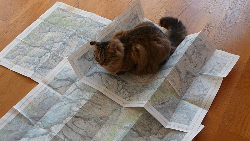 Raid Saas-Fee : Très utile un chat pour choisir les itinéraires !