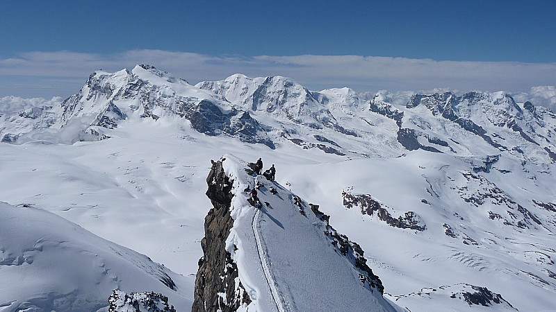 Rimpfischhorn : arête finale