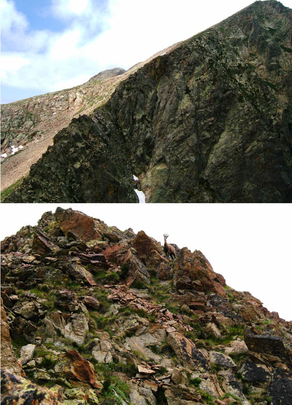 Passo Cairiliera : Tesa Gias dei Laghi complètement déneigé, pris du petit sommet vers 2610m là où est le chamois.