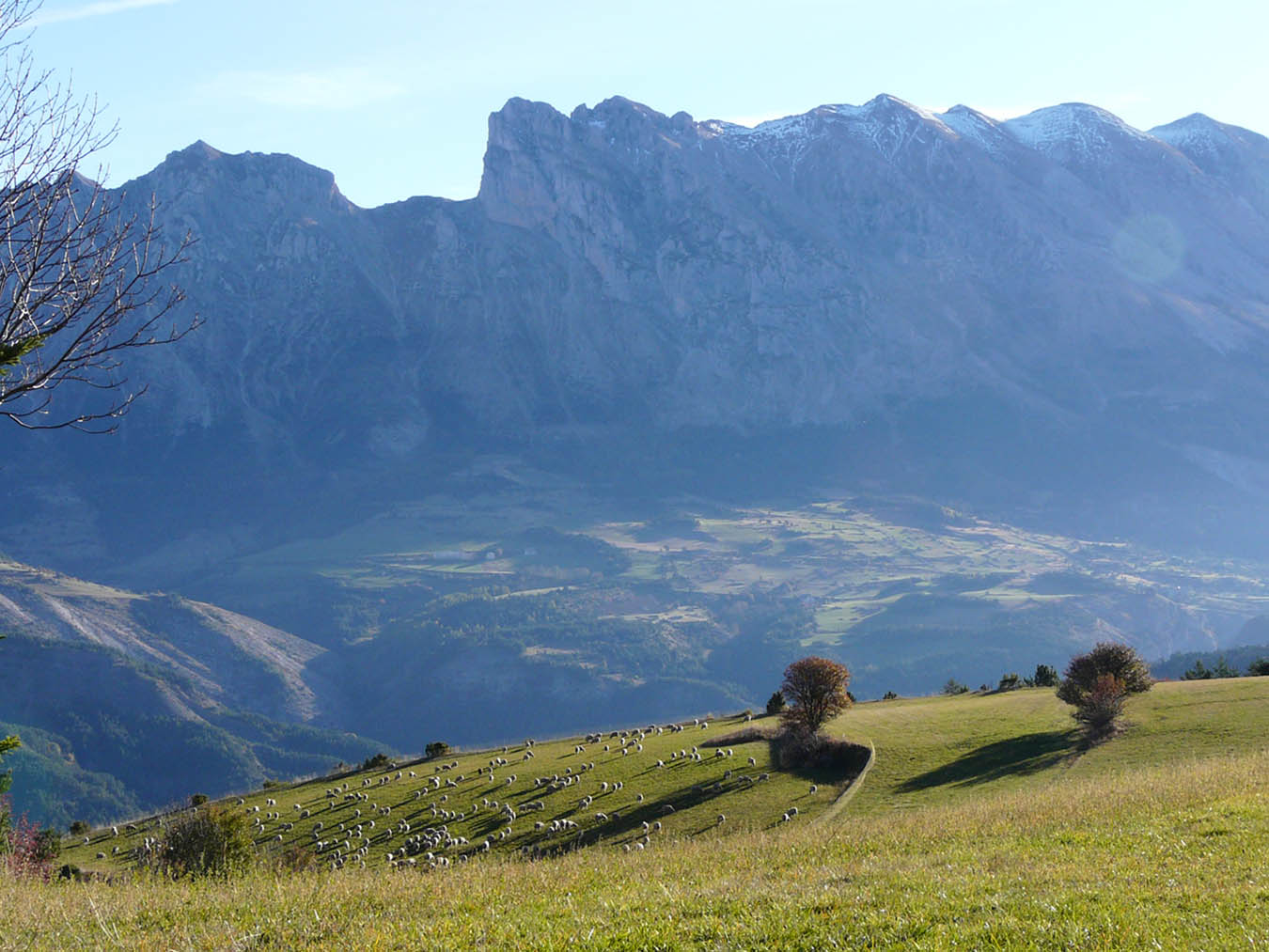 le calme et : les couleurs matinales