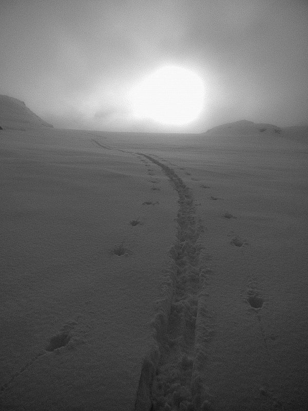 col de platée : lumière blafarde près du col