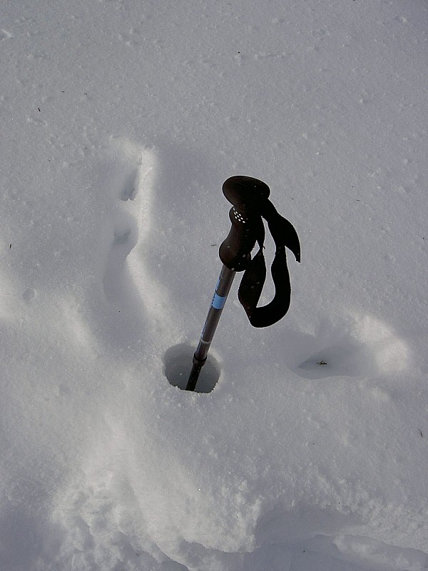 hauteur de neige : mon baton de 130cm enfoncé à plus de la moitié : il y a de la neige en Chartreuse...