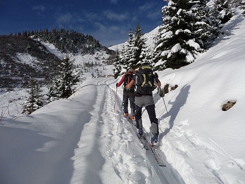 Justin et Jib : Rocheboc va bientot apparaitre