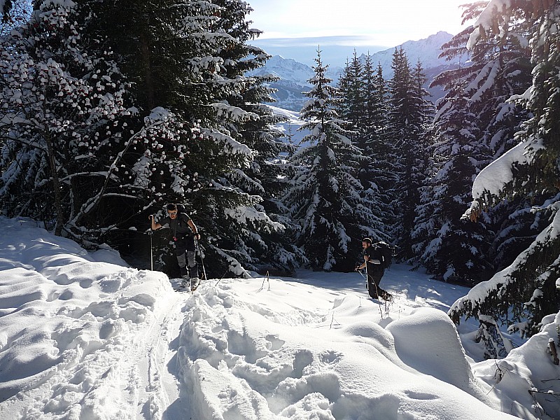 Jib et Guillaume : Dans les bois