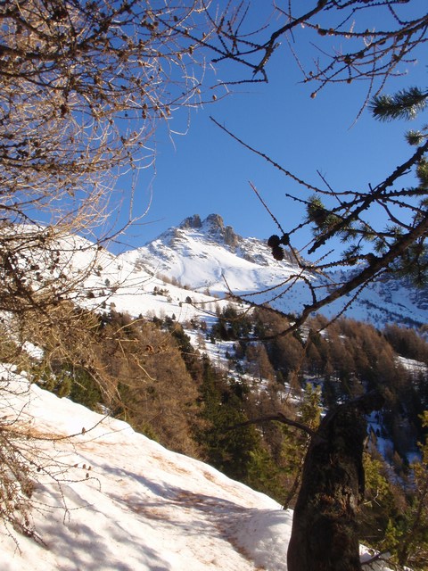 Pointe 2601 m : L'objectif du jour