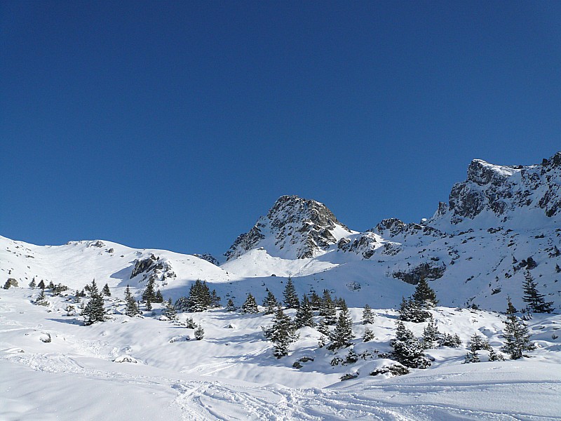 combe commune avec Jasse