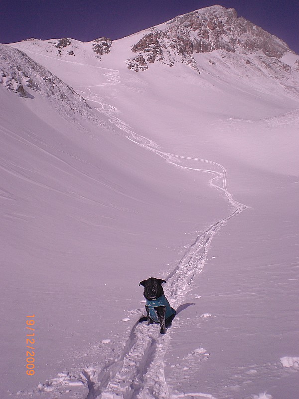 col de la Roya : A la descente, nous rejoignons le vallon du col des Peygus.