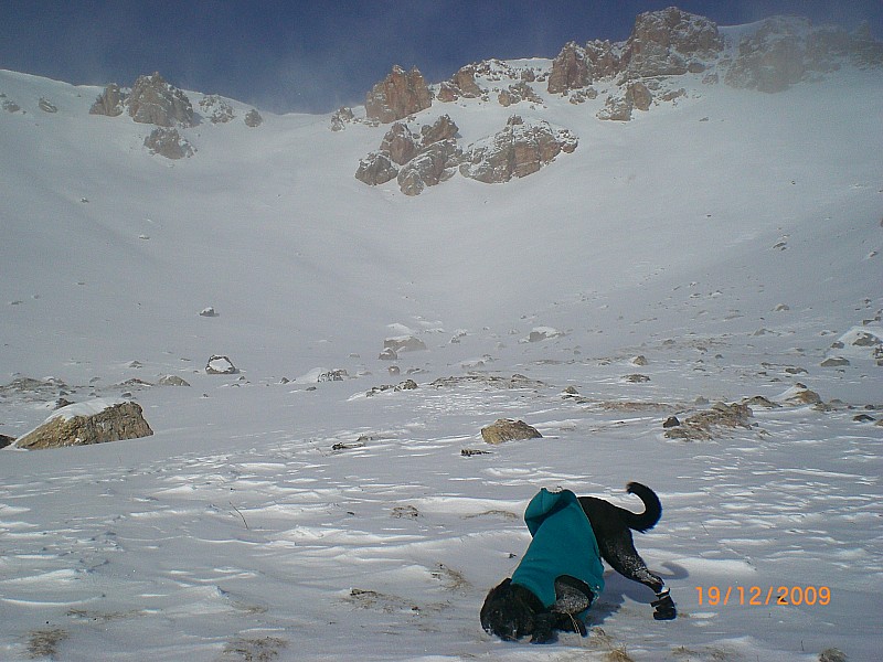 col de la Roya : Sous le col.
La neige, moi, j'aime bien ça !