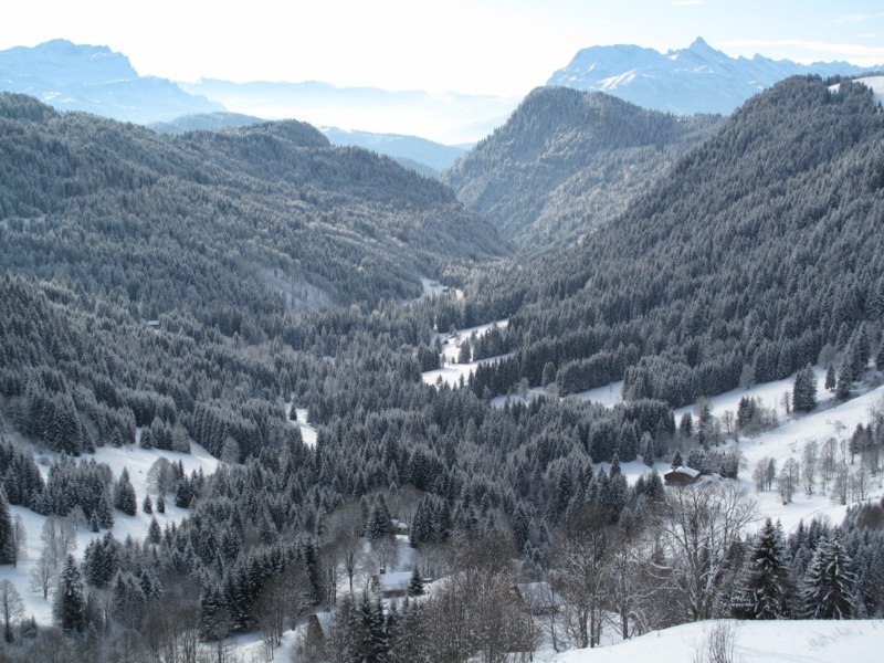 Vue sur le Vallon du foron : La météo semblait encourageante au départ (20/12/09)