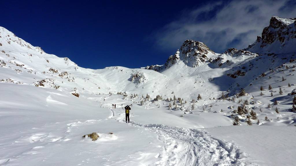 vallon du Venetier : beaucoup de traces vers la Jasse, beaucoup moins vers l'Aigleton