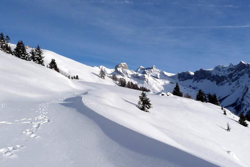Flore : Vue sur Sérac et Wildhorn depuis l'alpage de Flore