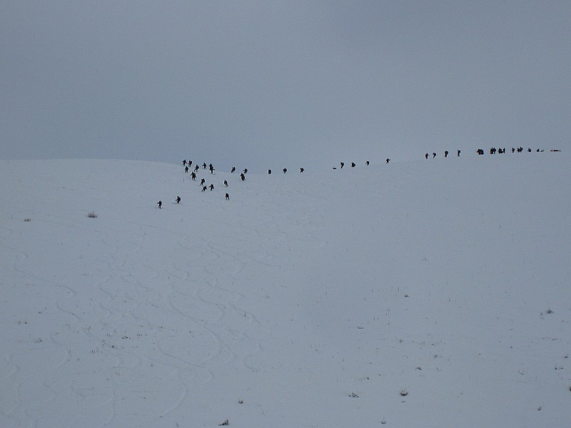 Chasseurs alpins : y a du monde