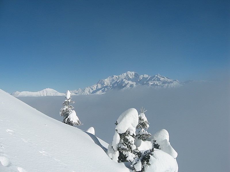 le Mont Blanc : ça y est on sort du brouillard!