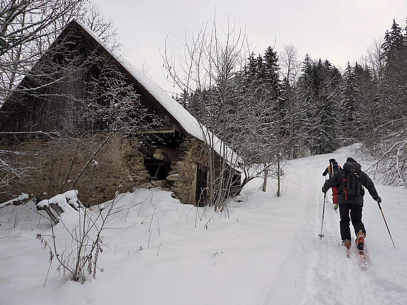 cabane : barack Obahamas ou cabane au canada