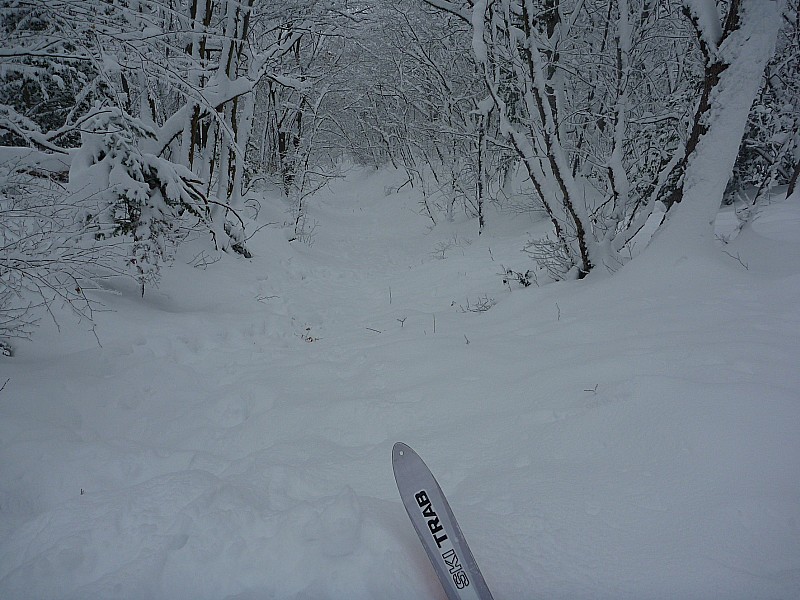 #5 fort du st eynard : j fort du st eynard : j'y vais mais j'ai peur