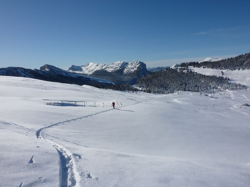 Plateau sommital : traversée nordique, on reviendra en ski de fond
