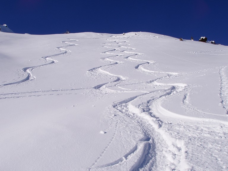 Descente : Excellente neige sous le sommet...