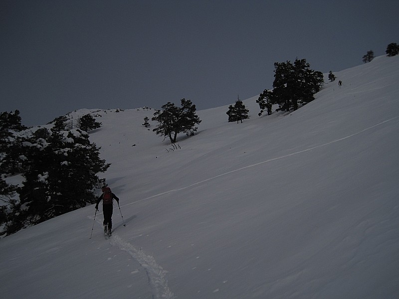 vallon au S du Baous : montée agréable