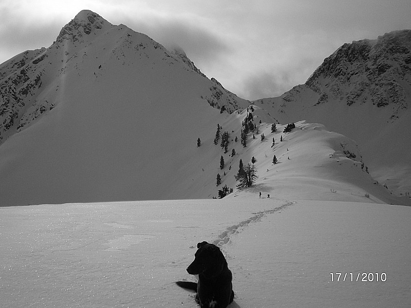 crête de la Lauzette : Destination initiale, le Petit Peygu restera encore vierge aujourd'hui.
A droite le col des Peygus.
