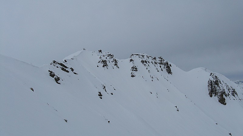 Tête de Soleil Boeuf : à faire aussi mais pour une prochaine fois