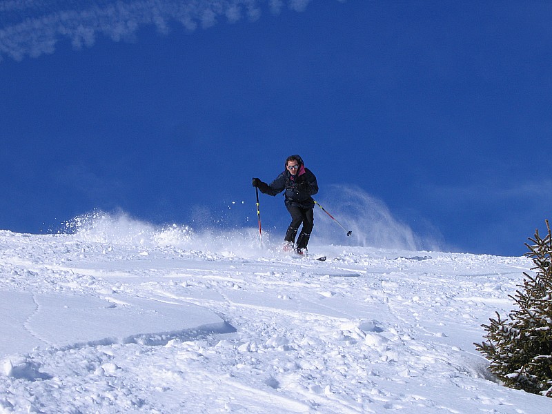 #4 Sur le haut de Cou Sur le haut de Cou