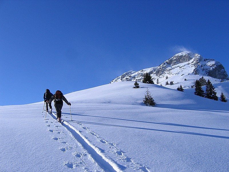 #10 Vers la Pointe de Sous Dine : En remontant, juste après la longuuuue pause casse-croute Vers la Pointe de Sous Dine : En remontant, juste après la longuuuue pause casse-croute