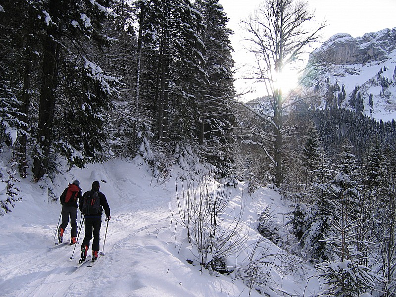 #1 Piste forestière : En montant à Cou Piste forestière : En montant à Cou